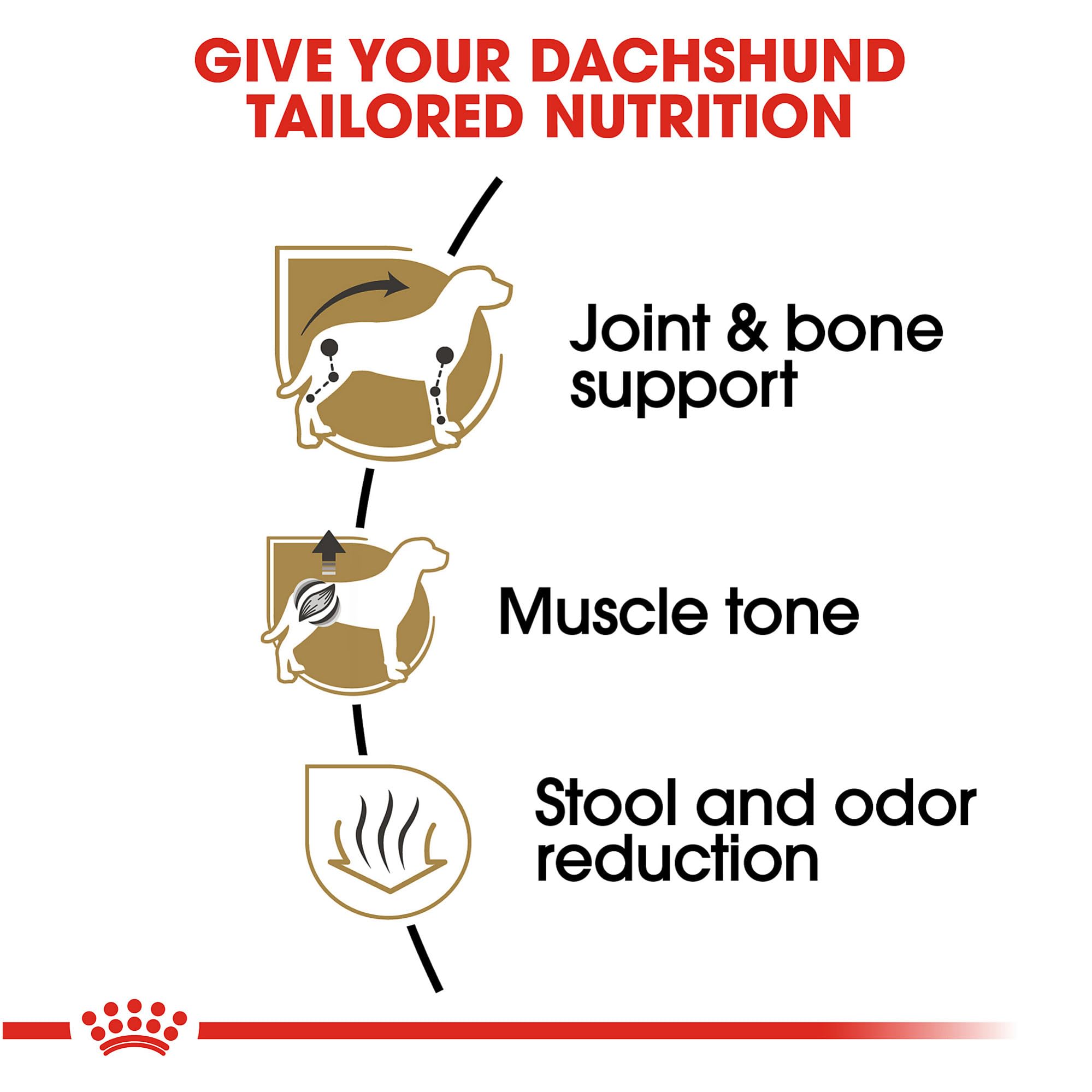 Foto 3 | Alimento Para Perros Royal Canin Dachshund, Raza Adulta, 1,1 Kg - Venta Internacional.