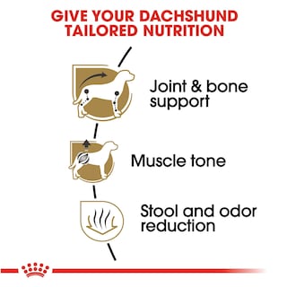 Foto 3 | Alimento Para Perros Royal Canin Dachshund, Raza Adulta, 1,1 Kg - Venta Internacional.