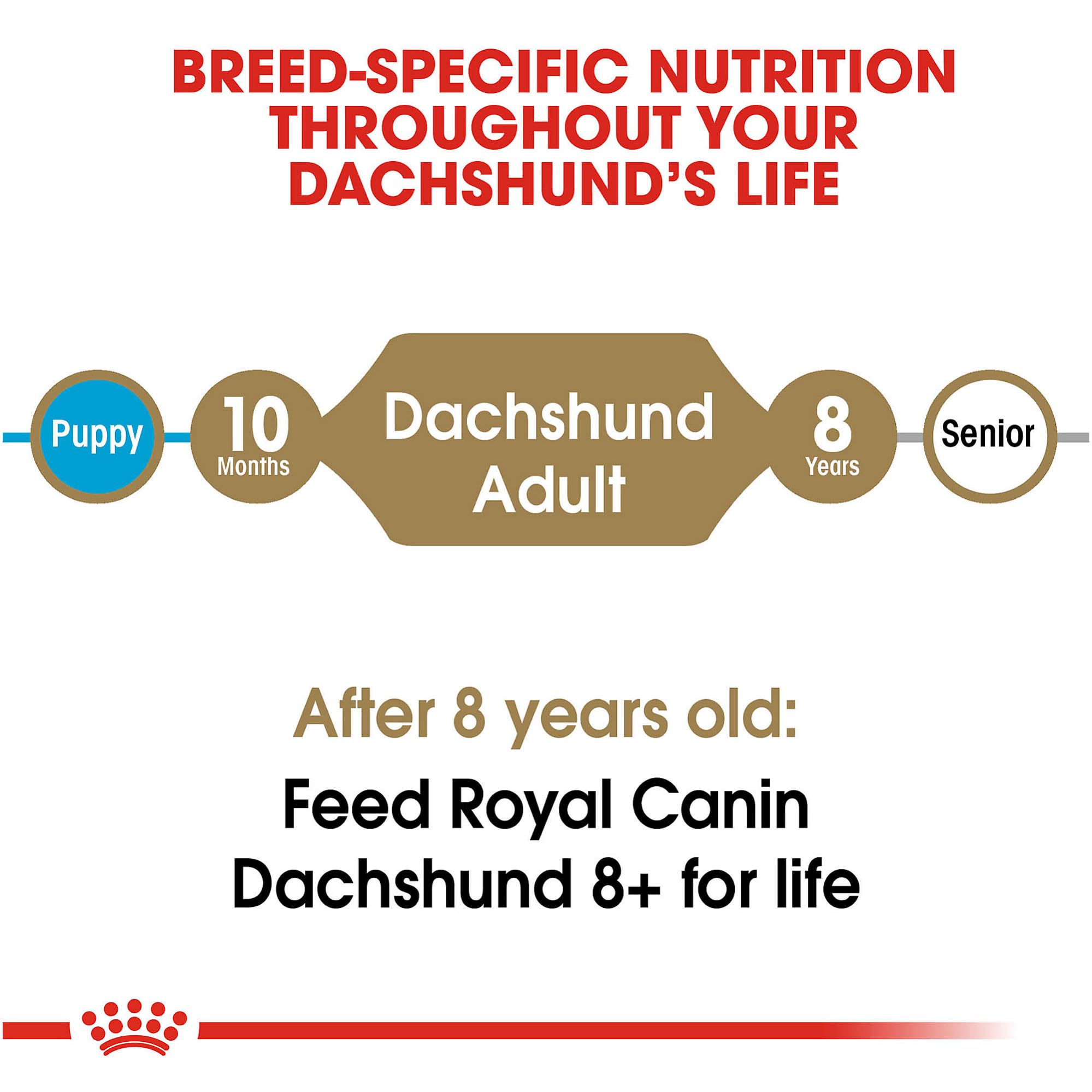 Foto 6 pulgar | Alimento Para Perros Royal Canin Dachshund, Raza Adulta, 1,1 Kg - Venta Internacional.