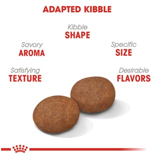 Foto 2 | Alimento Para Perros Royal Canin Size Health Nutrition, Tamaño Mediano Para Adultos Mayores De 7 Años - Venta Inte