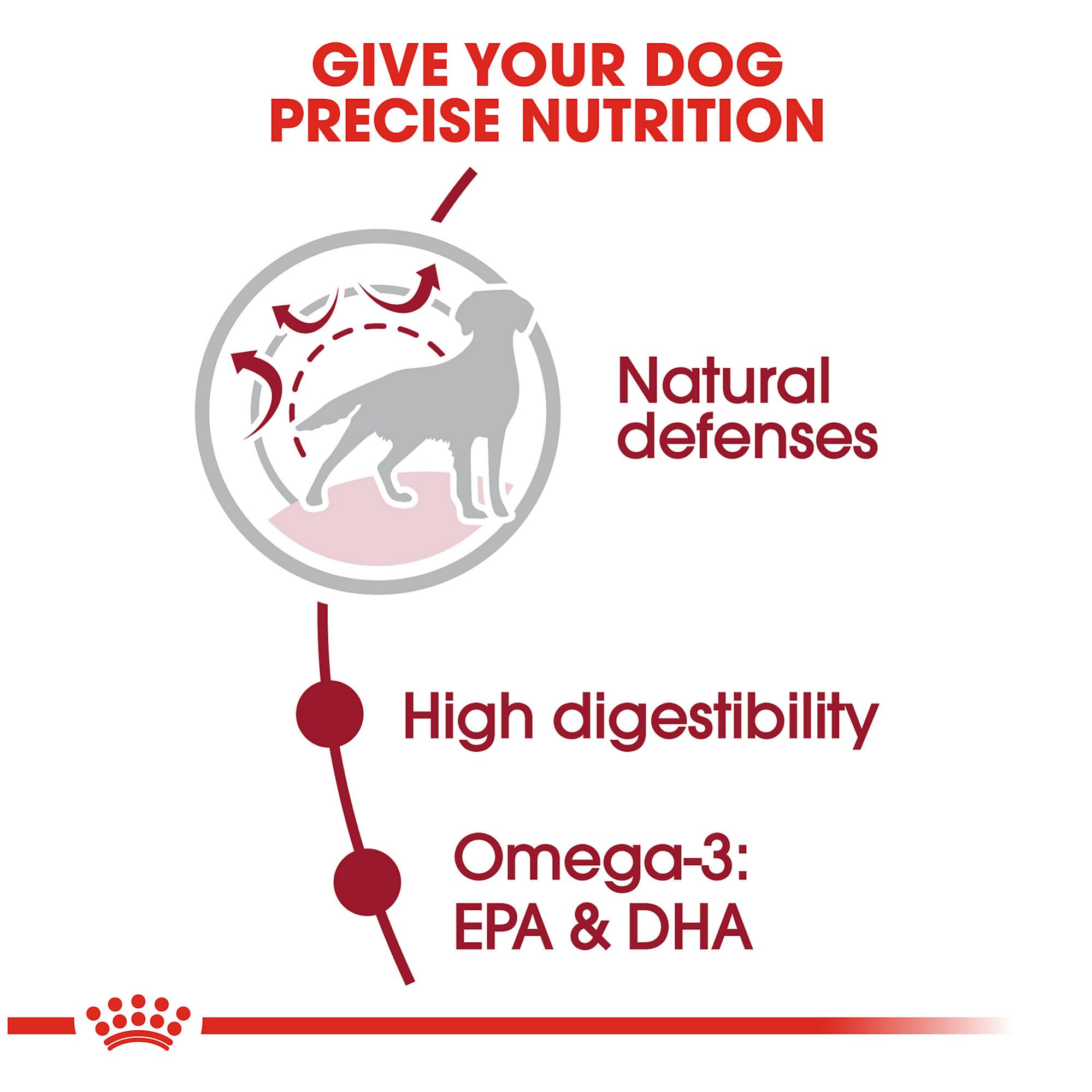 Foto 4 pulgar | Alimento Para Perros Royal Canin Size Health Nutrition, Tamaño Mediano Para Adultos Mayores De 7 Años - Venta Inte