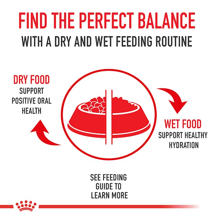 Foto 7 | Alimento Para Perros Royal Canin De Peso Medio Para Adultos, 7,7 Kg - Venta Internacional.