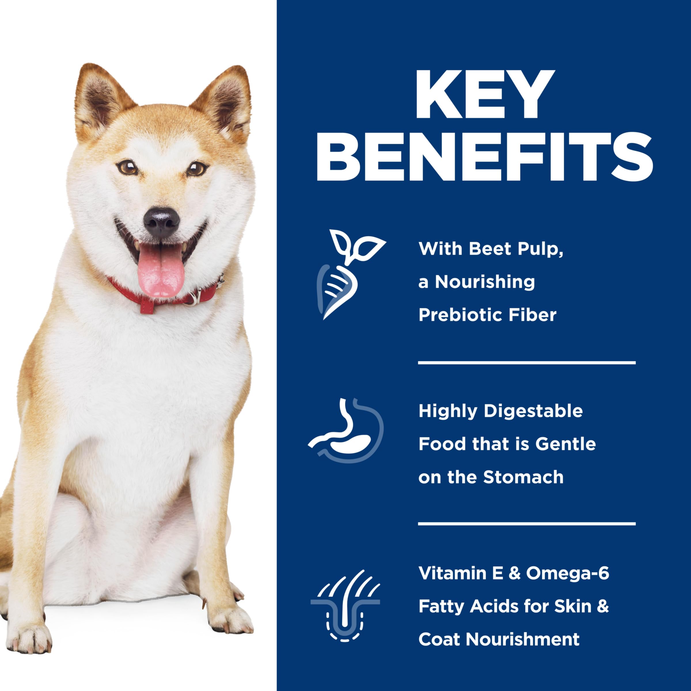 Foto 4 pulgar | Comida Para Perros Hill's Science Diet Para Estómago Y Piel Sensibles 1-6 - Venta Internacional.