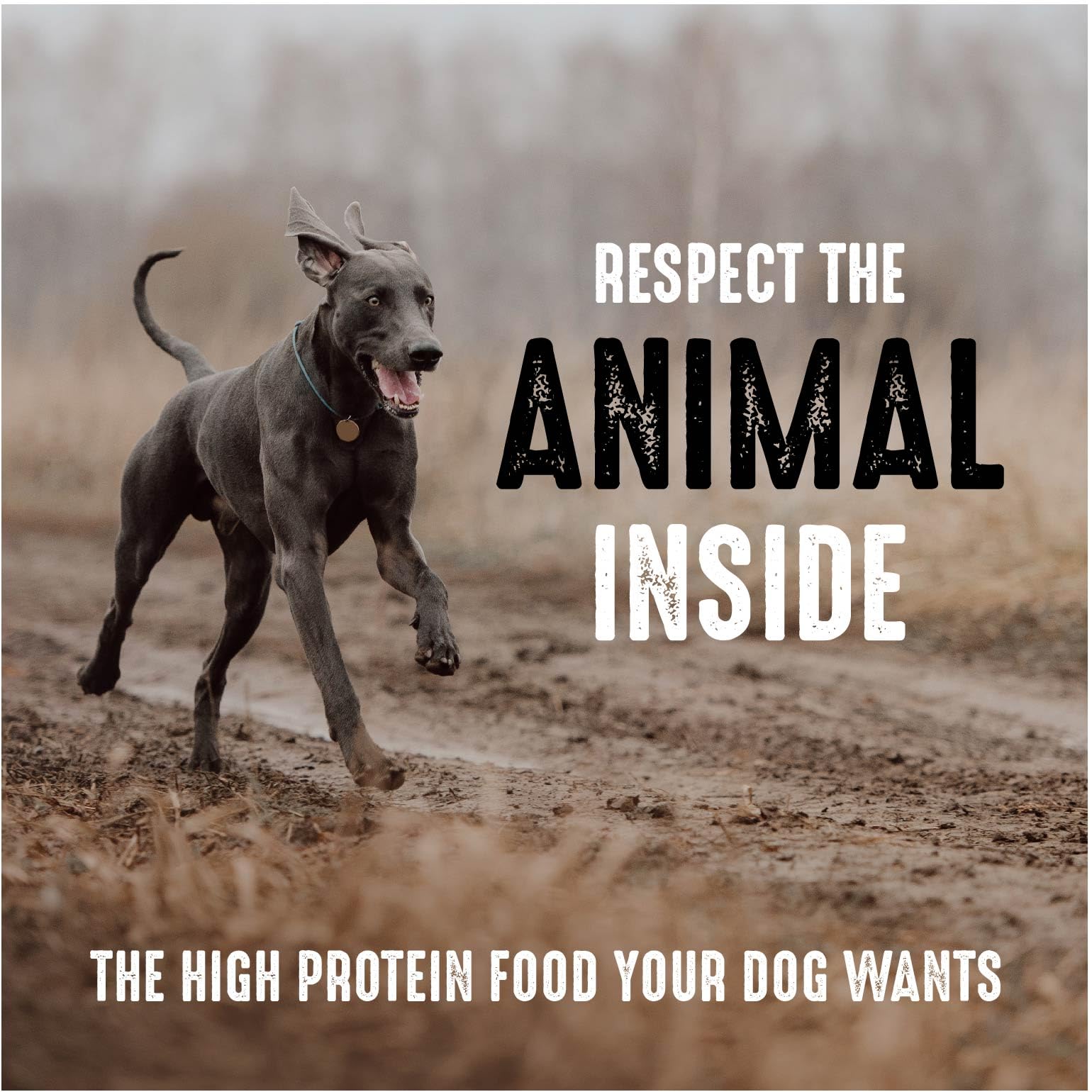 Foto 7 pulgar | Comida Para Perros Crave, Sin Cereales, Alta En Proteínas, Carne De Res Para Adultos, 13,6 Kg - Venta Internacional.