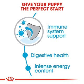 Foto 3 | Alimento Para Perros Royal Canin Size Health Nutrition Para Cachorros Pequeños De 13,6 Kg - Venta Internacional.
