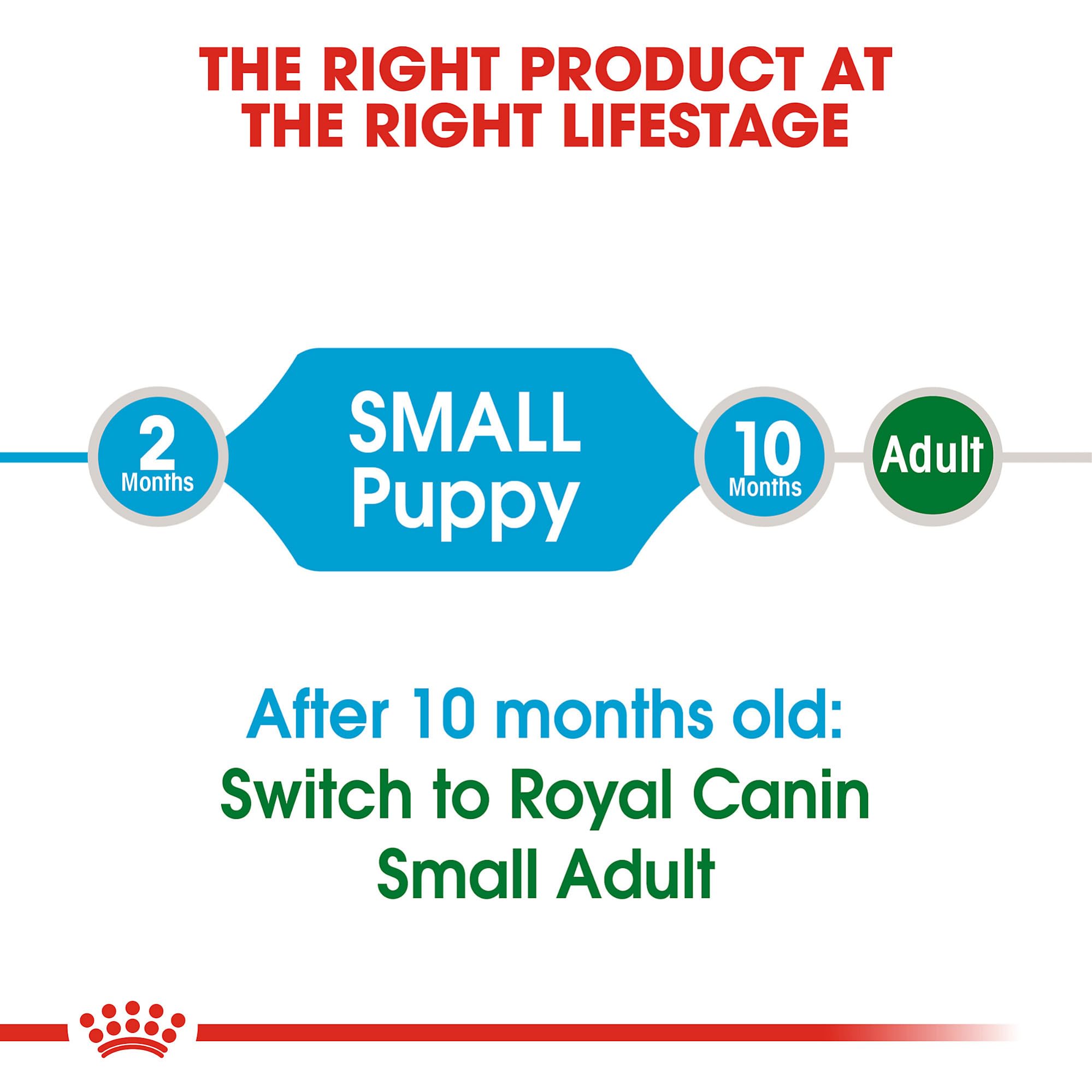 Foto 6 pulgar | Alimento Para Perros Royal Canin Size Health Nutrition Para Cachorros Pequeños De 13,6 Kg - Venta Internacional.