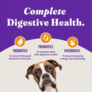Foto 6 | Alimento Para Perros Halo Holistic Free, Pollo Y Arroz Integral, 9,53 Kg - Venta Internacional.