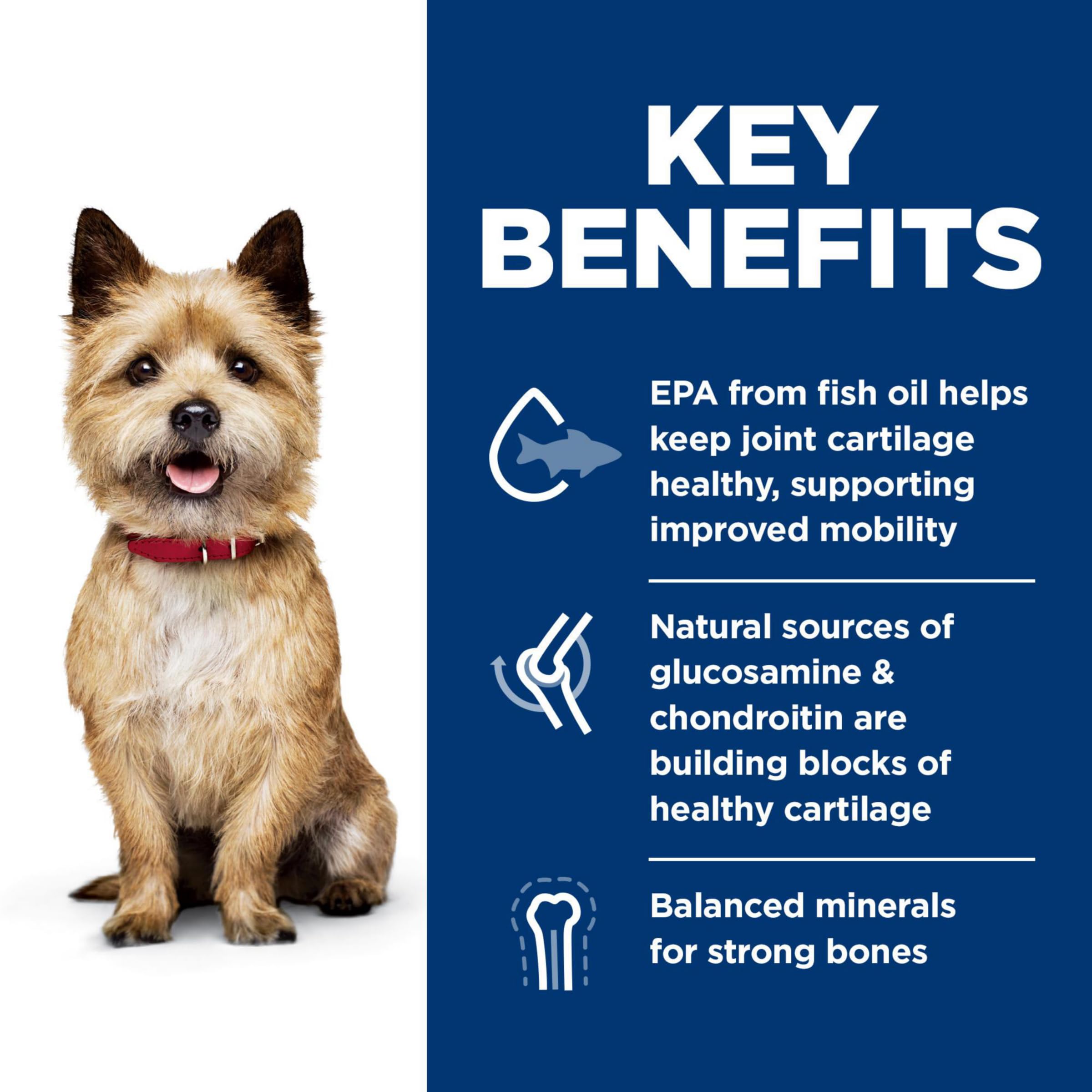Foto 4 pulgar | Alimento Para Perros Hill's Science Diet Healthy Mobility Para Adultos De 1 A 6 Años - Venta Internacional.