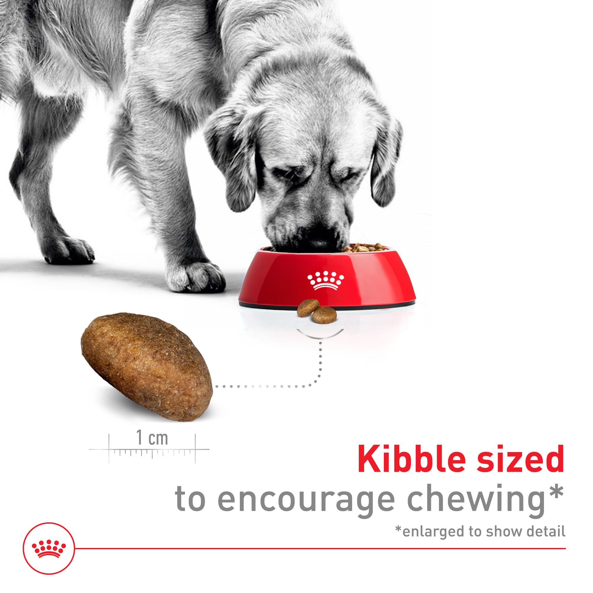 Foto 4 pulgar | Alimento Para Perros Royal Canin Size Health Nutrition, Tamaño Grande, Adulto, 18 Kg - Venta Internacional.