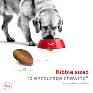 Foto 3 | Alimento Para Perros Royal Canin Size Health Nutrition, Tamaño Grande, Adulto, 18 Kg - Venta Internacional.