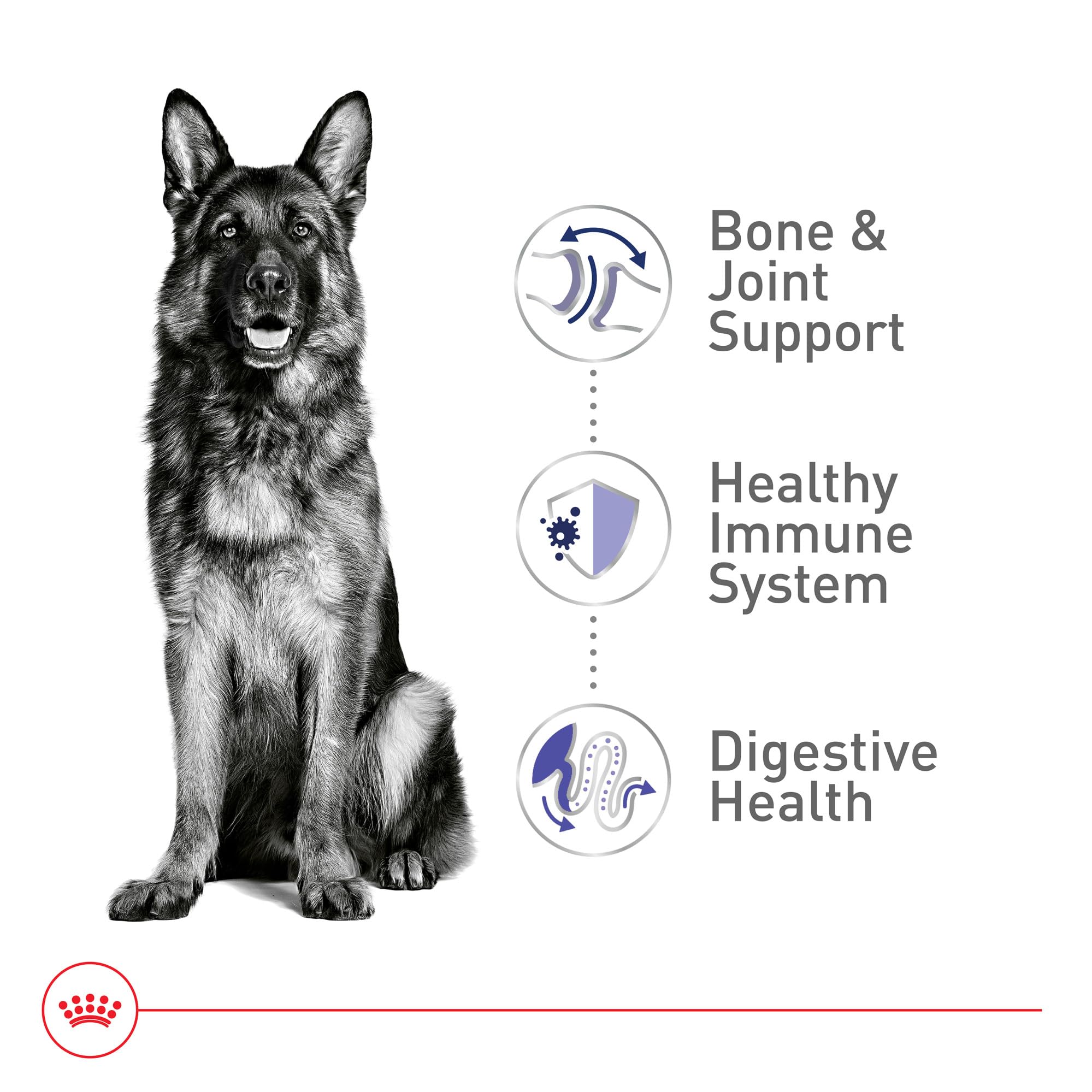 Foto 5 pulgar | Alimento Para Perros Royal Canin Size Health Nutrition, Tamaño Grande, Adulto, 18 Kg - Venta Internacional.