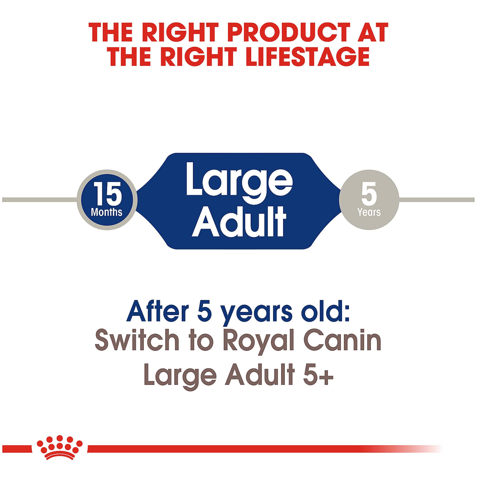 Foto 7 pulgar | Alimento Para Perros Royal Canin Size Health Nutrition, Tamaño Grande, Adulto, 18 Kg - Venta Internacional.