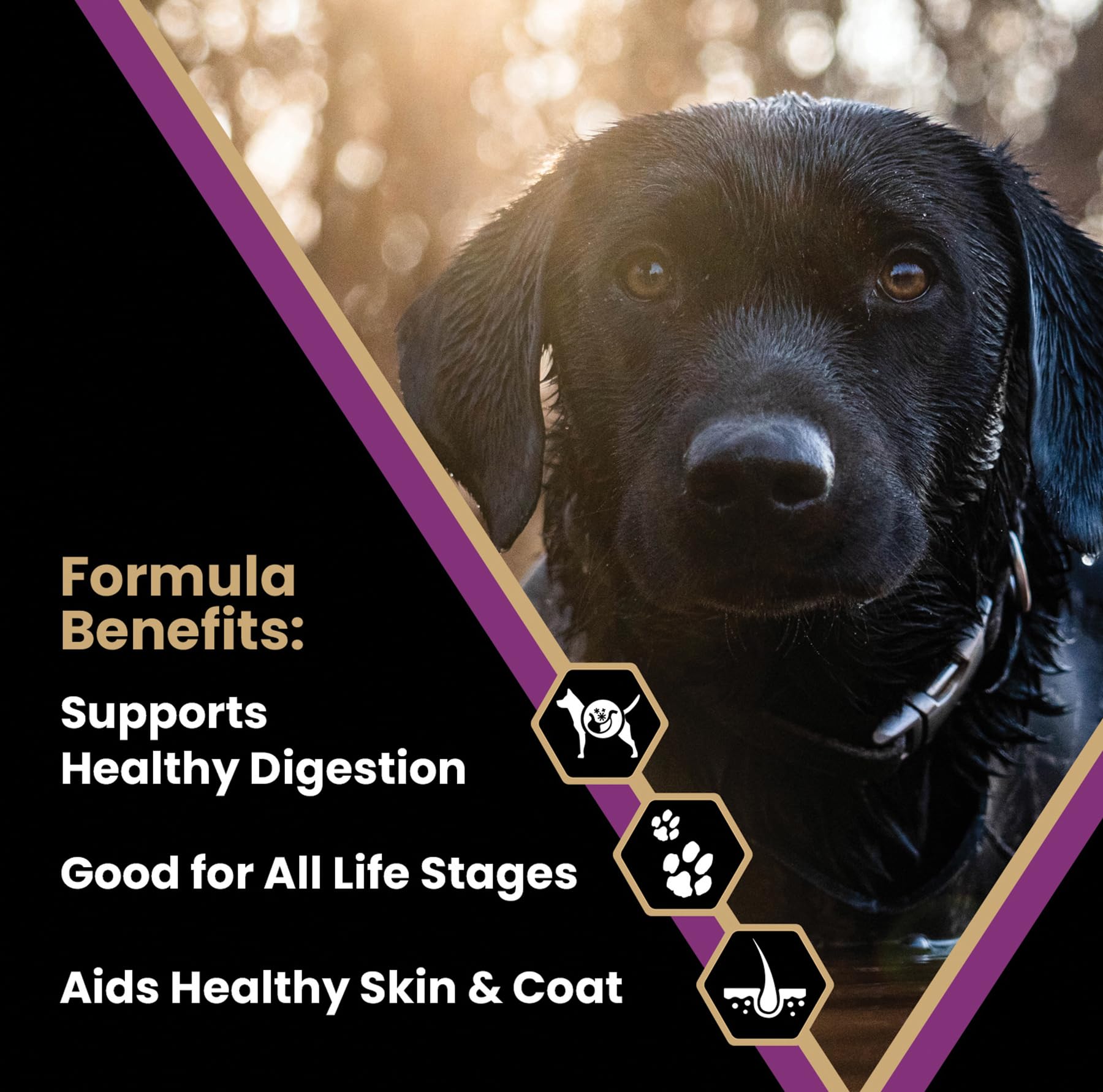 Foto 2 | Pienso Para Perros Victor Super Premium Professional 13,6 Kg Con 26% De Proteína - Venta Internacional.