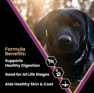 Foto 2 | Pienso Para Perros Victor Super Premium Professional 13,6 Kg Con 26% De Proteína - Venta Internacional.