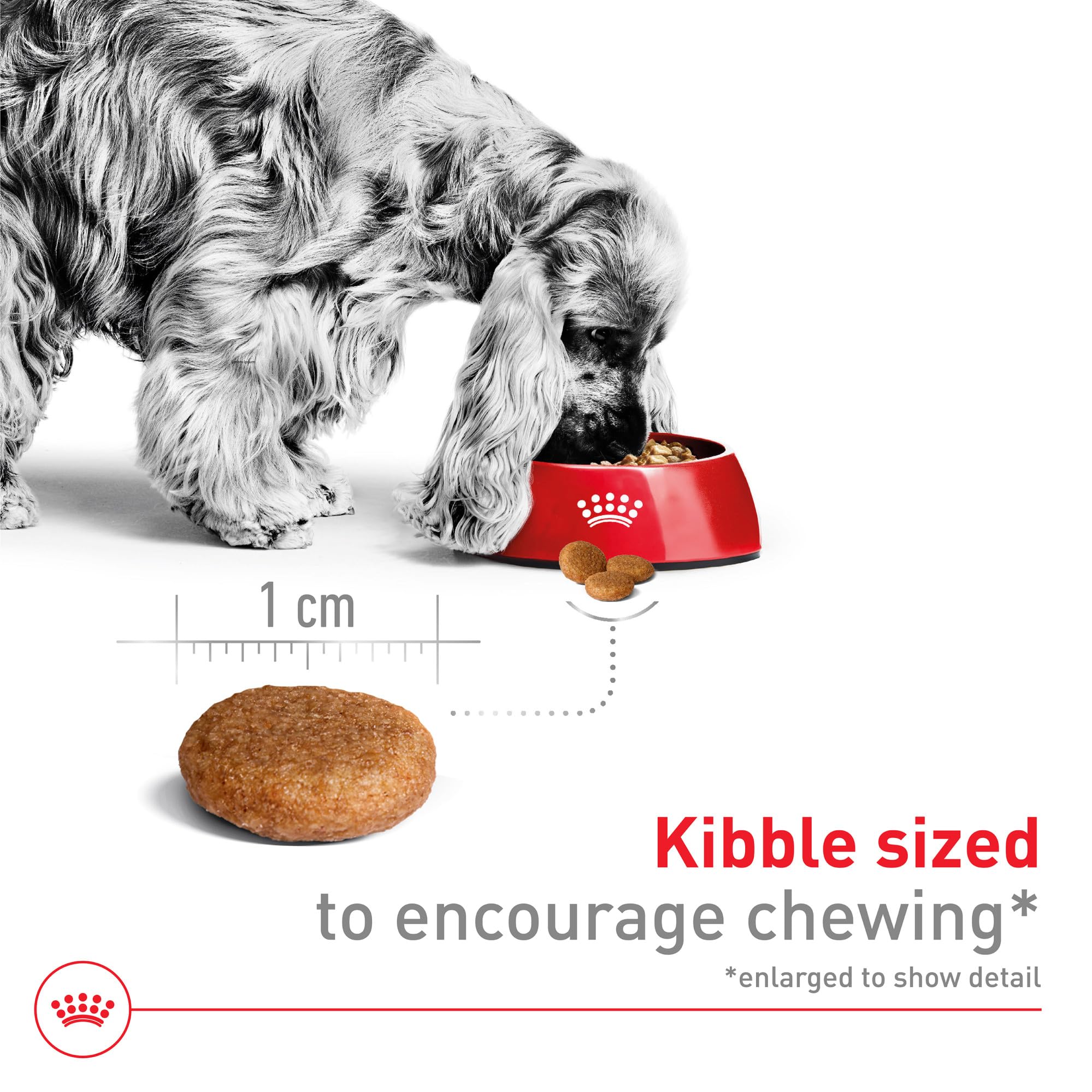 Foto 4 pulgar | Alimento Para Perros Royal Canin Size Health Nutrition, Tamaño Mediano Para Adultos, 18,14 Kg - Venta Internacional.