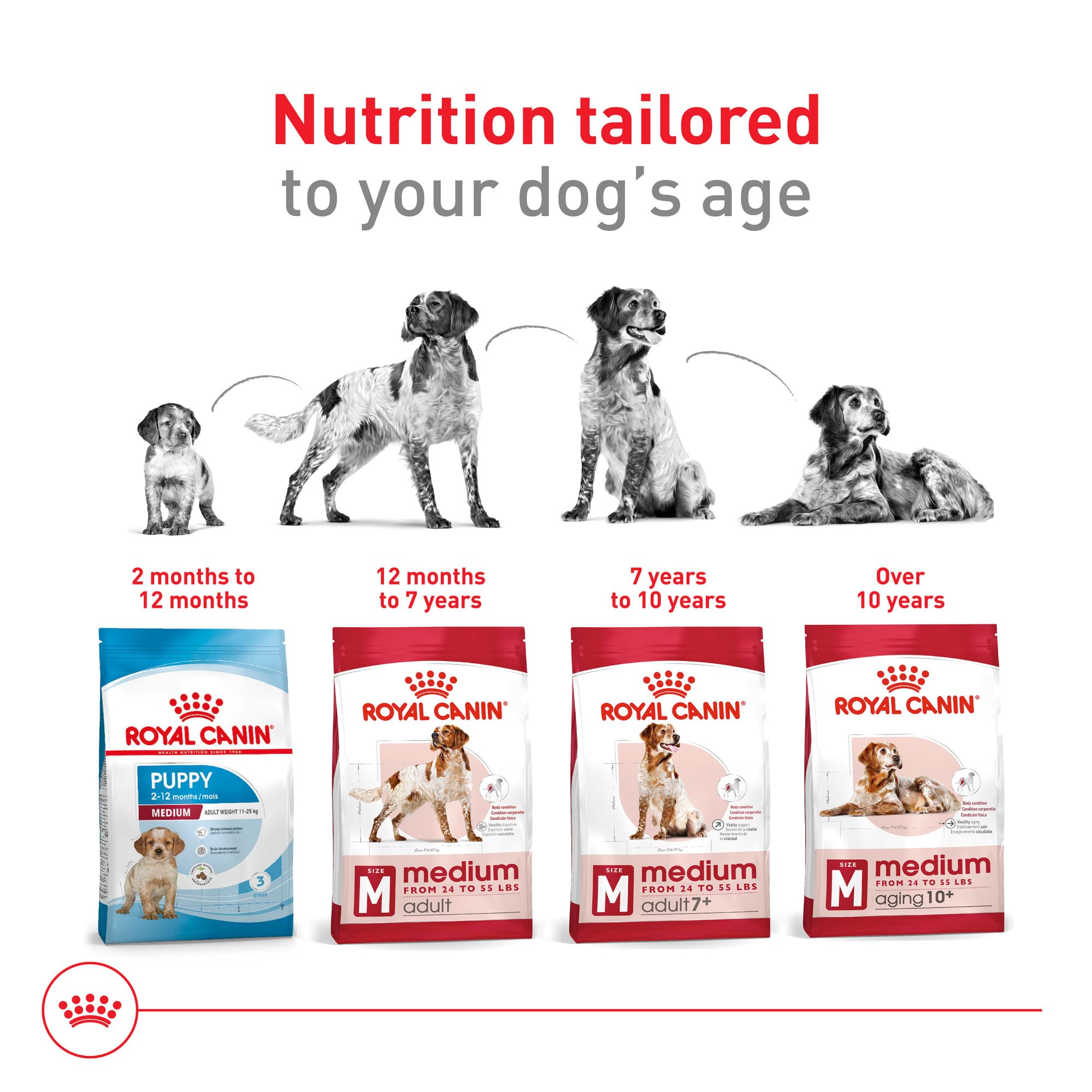 Foto 7 pulgar | Alimento Para Perros Royal Canin Size Health Nutrition, Tamaño Mediano Para Adultos, 18,14 Kg - Venta Internacional.
