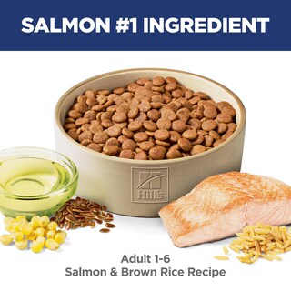 Foto 2 | Alimento Para Perros Hill's Science Diet Para Adultos De 1 A 6 Años, Salmón Premium, 2 Kg - Venta Internacional.