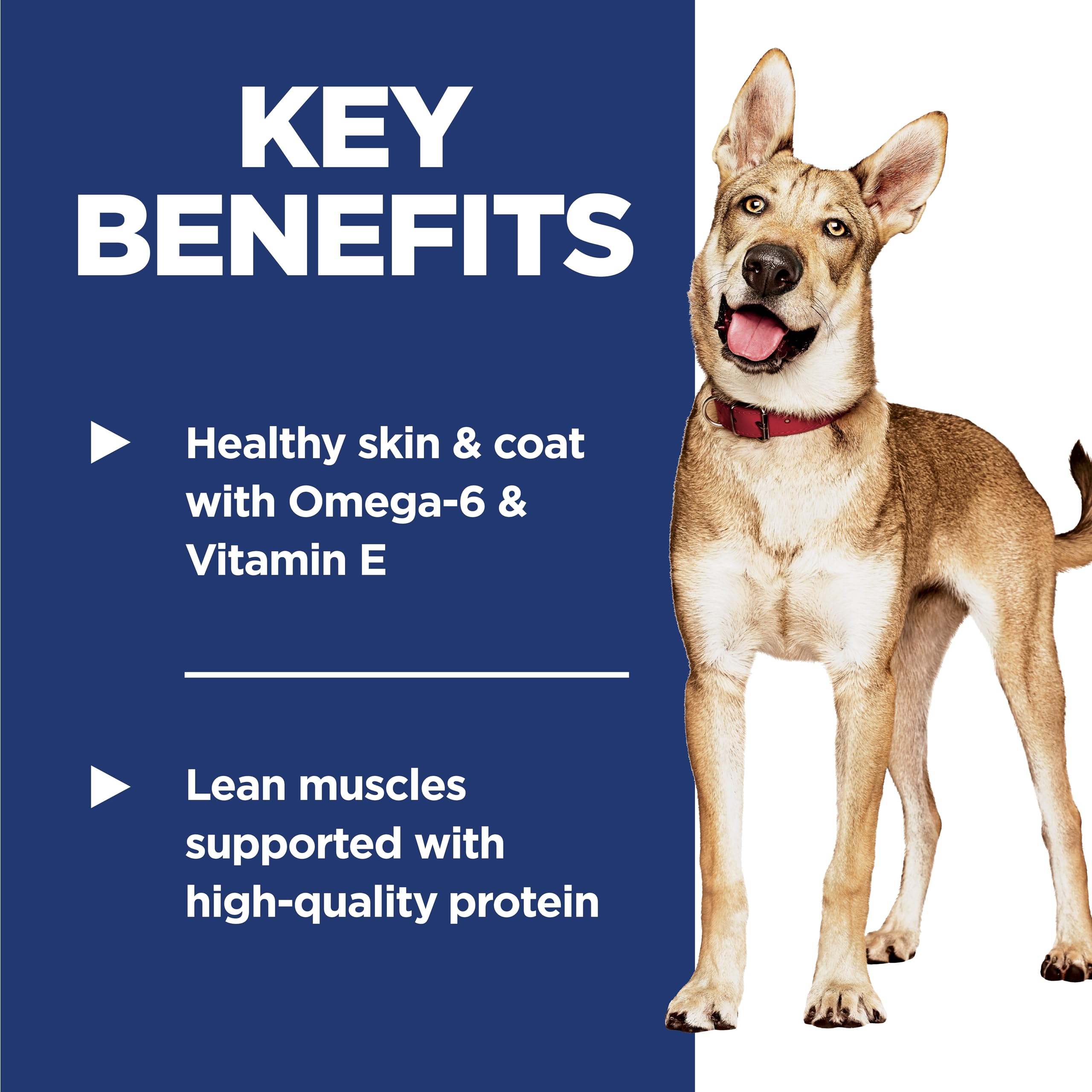Foto 4 pulgar | Alimento Para Perros Hill's Science Diet Para Adultos De 1 A 6 Años, Salmón Premium, 2 Kg - Venta Internacional.