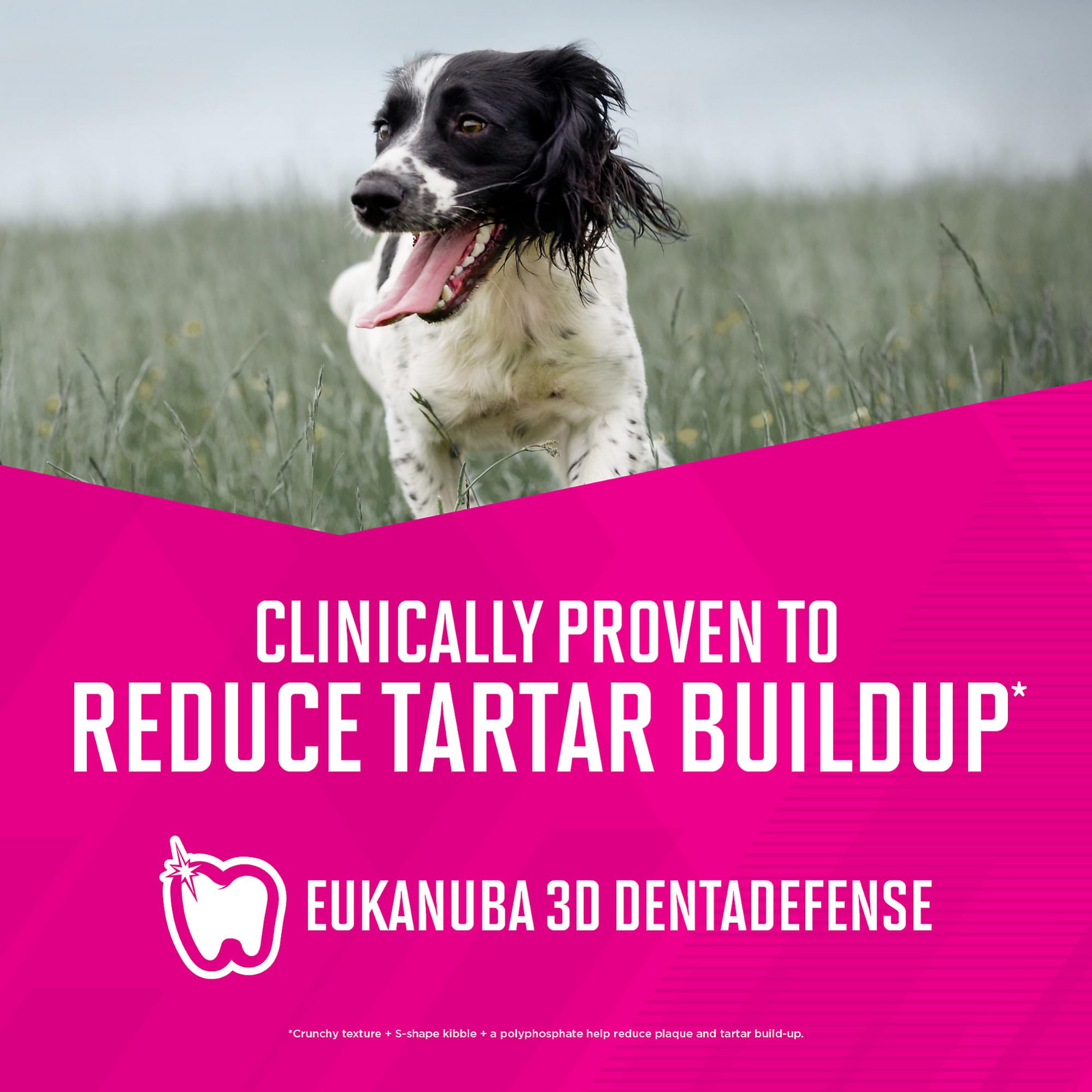 Foto 6 | Pienso Para Perros Eukanuba Senior Senior Small Breed 2.27 Kg - Venta Internacional.