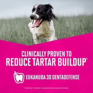 Foto 6 | Pienso Para Perros Eukanuba Senior Senior Small Breed 2.27 Kg - Venta Internacional.