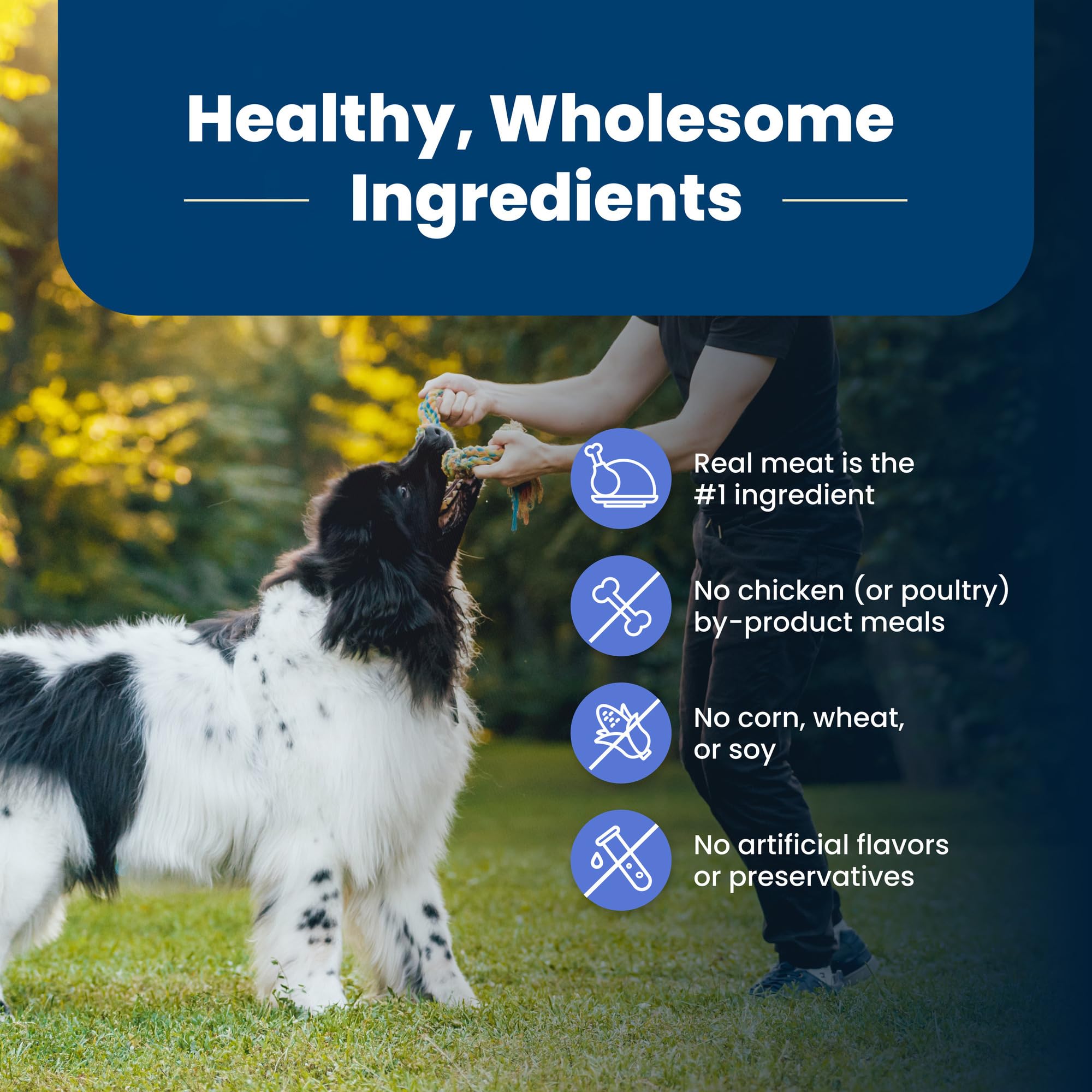 Foto 8 pulgar | Alimento Para Perros Blue Buffalo Life Protection, Peso Saludable 15,42 Kg - Venta Internacional.