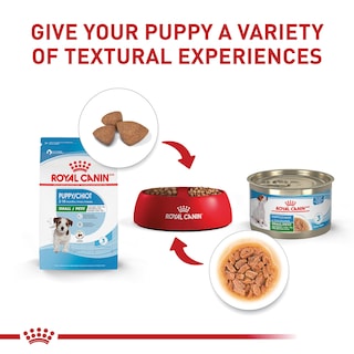 Foto 4 | Alimento Para Perros Royal Canin Size Health Nutrition Para Cachorros Pequeños De 1,8 Kg - Venta Internacional.