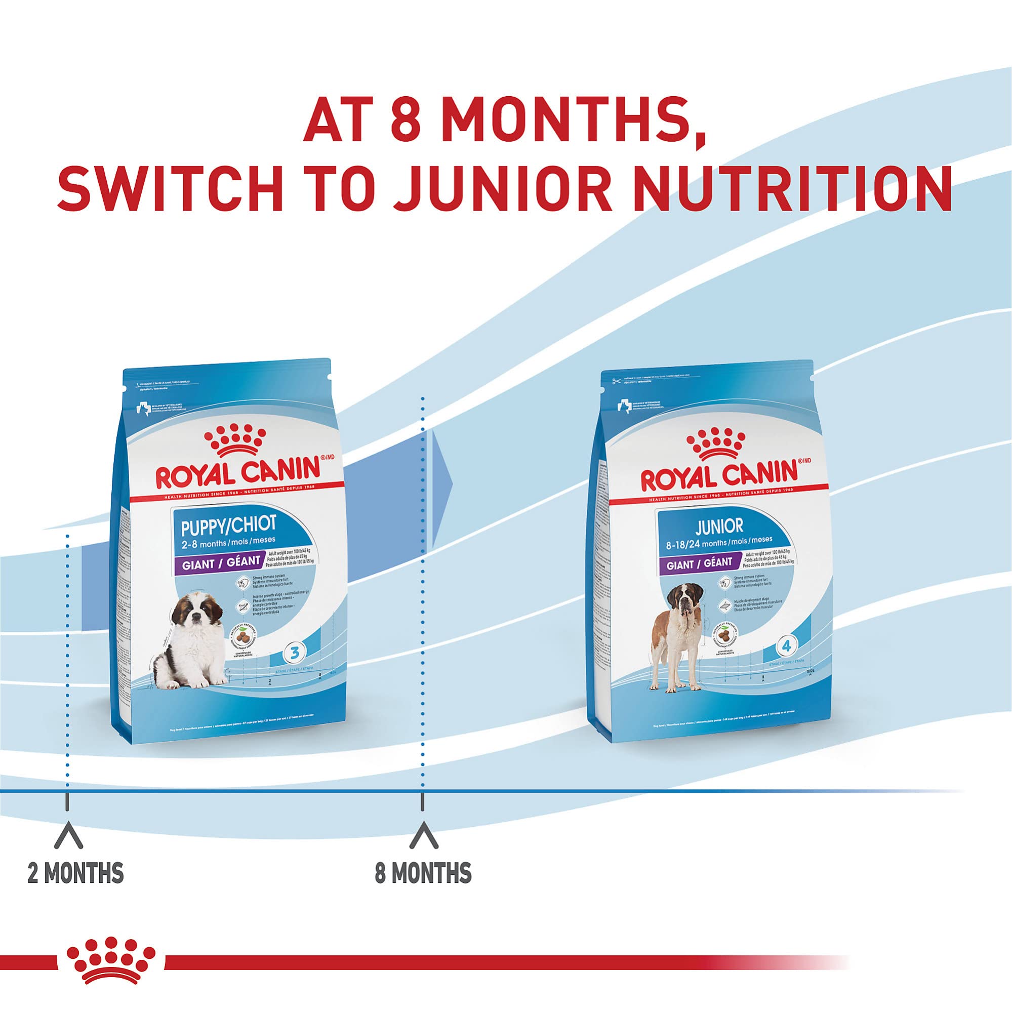 Foto 7 pulgar | Comida Para Perros Royal Canin Size Health Nutrition Para Cachorros Gigantes De 13,6 Kg - Venta Internacional.
