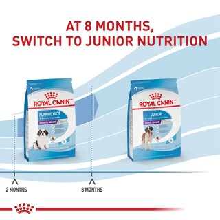 Foto 6 | Comida Para Perros Royal Canin Size Health Nutrition Para Cachorros Gigantes De 13,6 Kg - Venta Internacional.