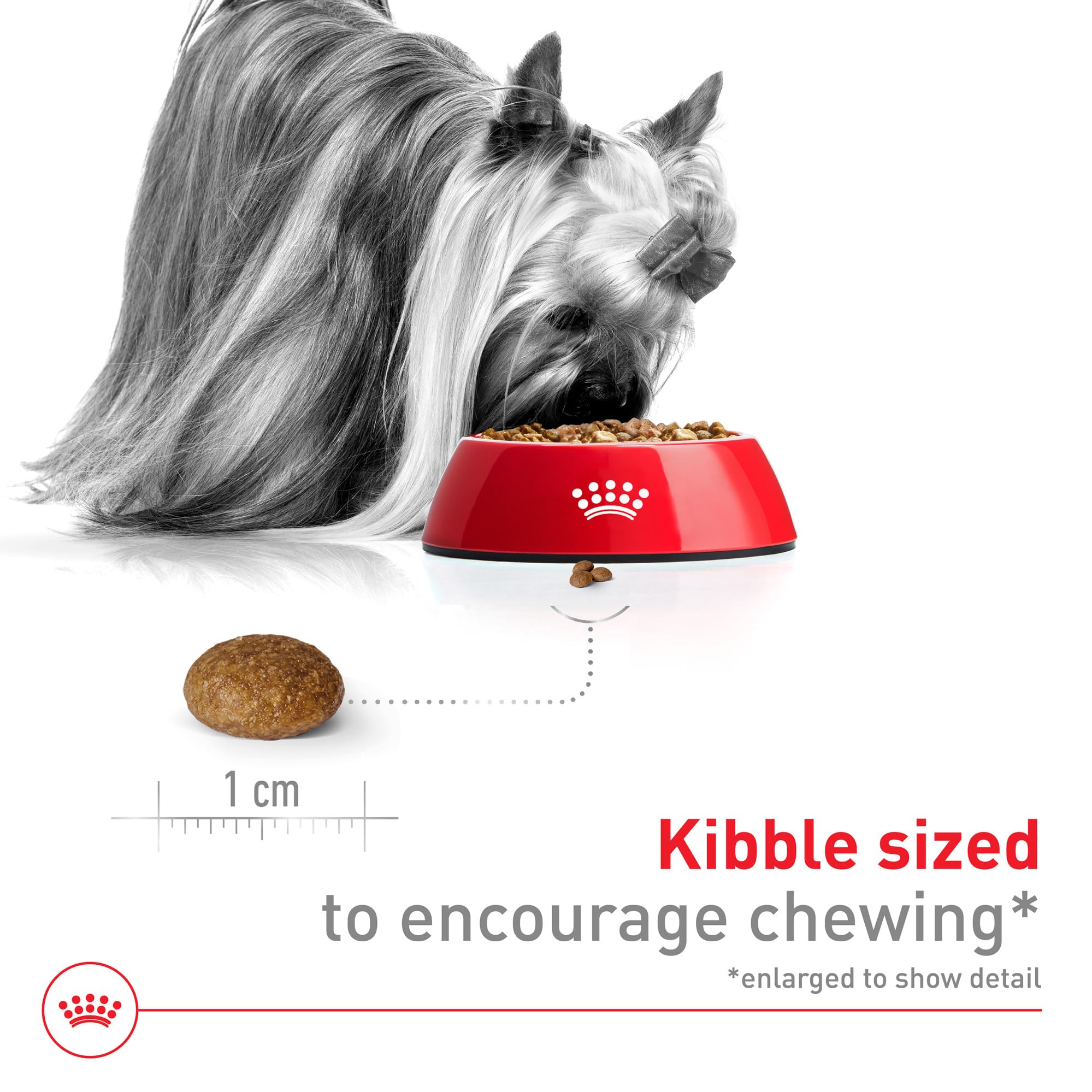 Foto 4 pulgar | Alimento Para Perros Royal Canin X-small Adult 8+ 1.1 Kg - Venta Internacional.