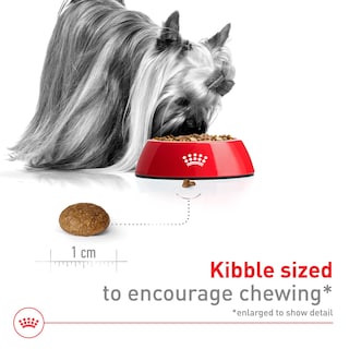 Foto 3 | Alimento Para Perros Royal Canin X-small Adult 8+ 1.1 Kg - Venta Internacional.