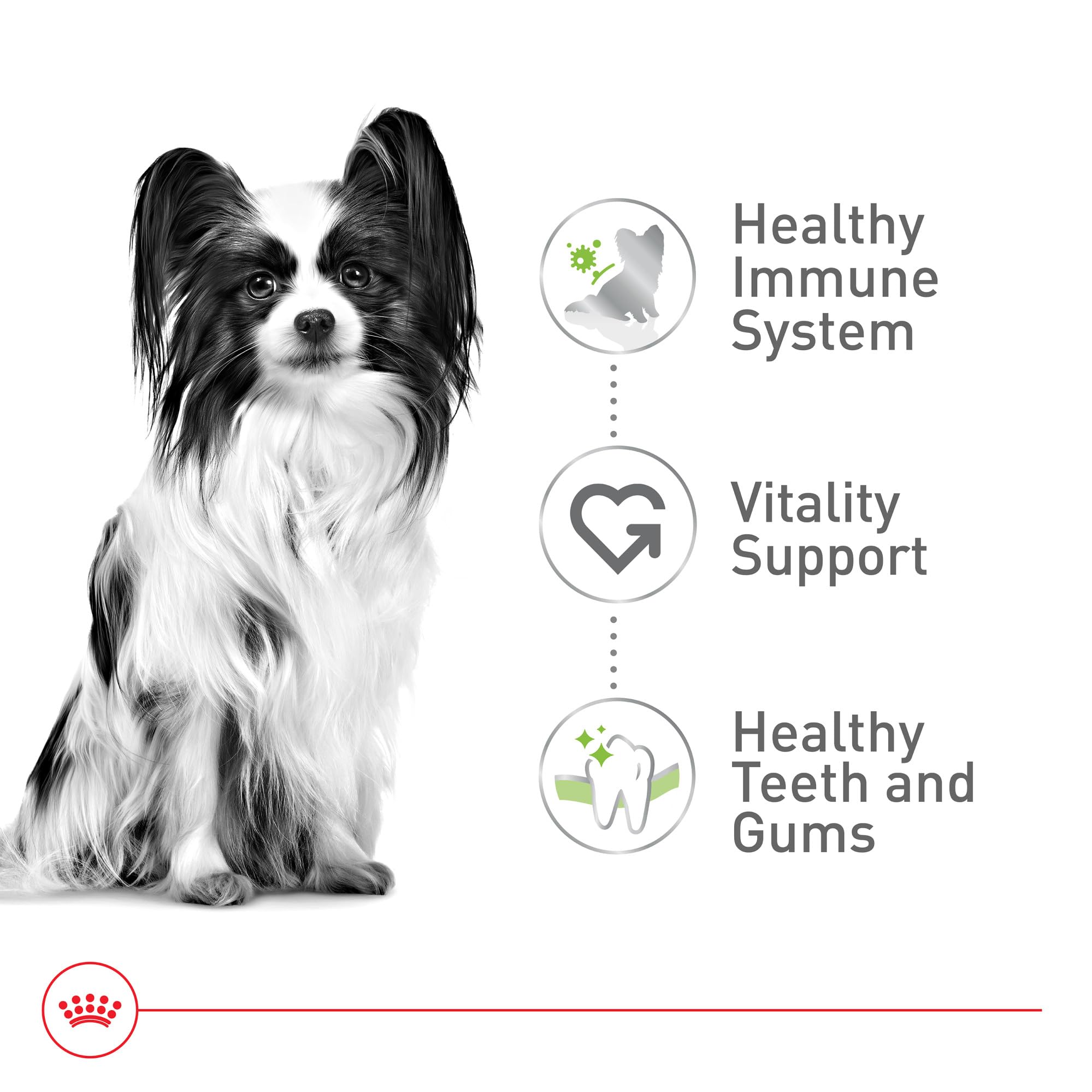Foto 5 pulgar | Alimento Para Perros Royal Canin X-small Adult 8+ 1.1 Kg - Venta Internacional.