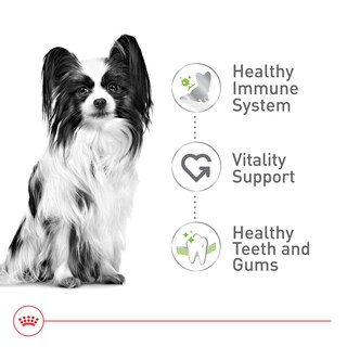 Foto 4 | Alimento Para Perros Royal Canin X-small Adult 8+ 1.1 Kg - Venta Internacional.