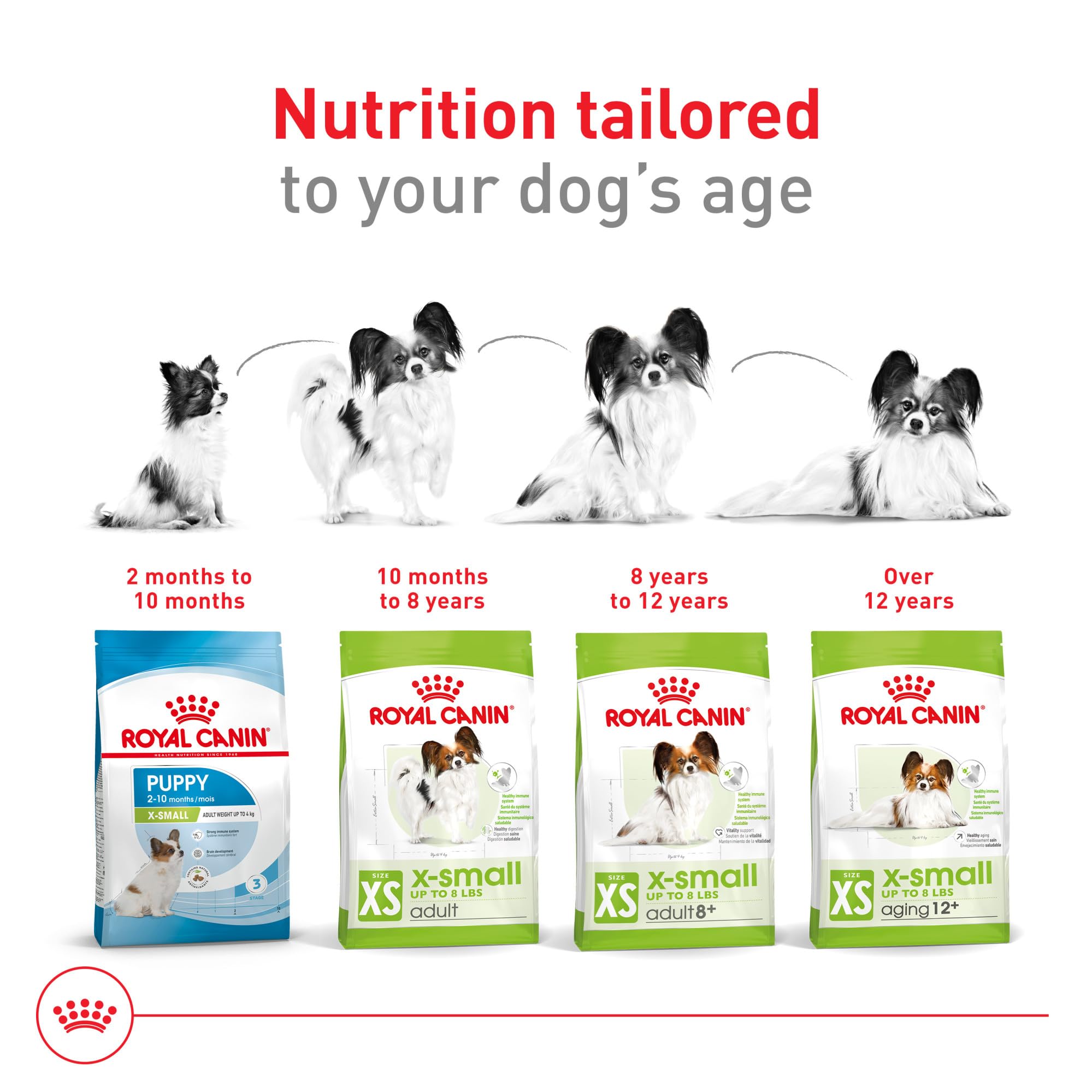 Foto 7 pulgar | Alimento Para Perros Royal Canin X-small Adult 8+ 1.1 Kg - Venta Internacional.