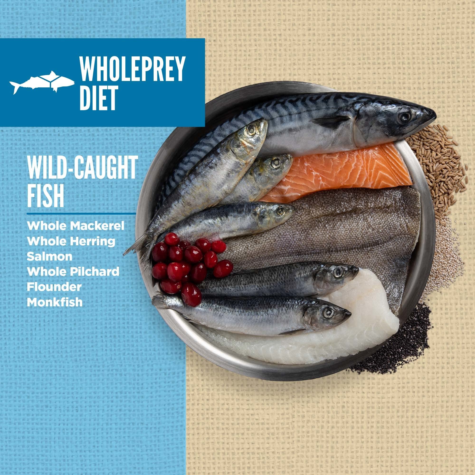 Foto 4 pulgar | Alimento Seco Para Perros Orijen Amazing Grains Six Fish Recipe 1.8 Kg - Venta Internacional.