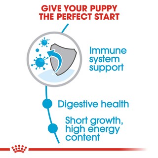 Foto 3 | Alimento Para Perros Royal Canin Size Health Nutrition Para Cachorros Medianos De 1,8 Kg - Venta Internacional.