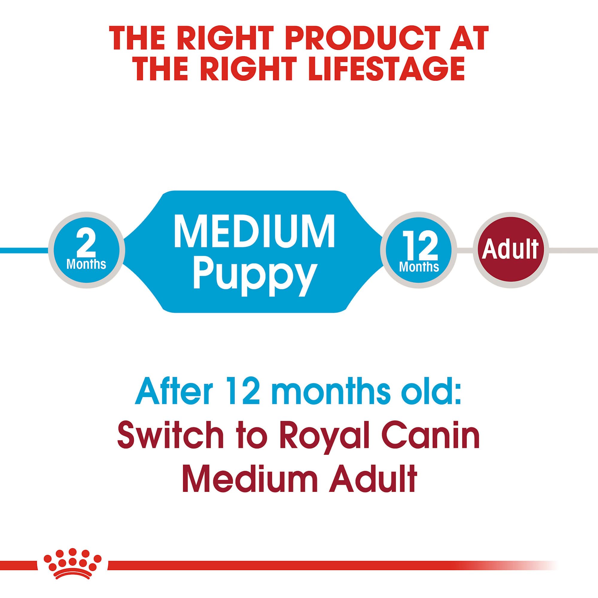 Foto 6 pulgar | Alimento Para Perros Royal Canin Size Health Nutrition Para Cachorros Medianos De 1,8 Kg - Venta Internacional.