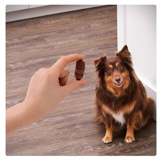 Foto 4 | Jerky Treats Golden Rewards Para Cerdos Secados Al Aire En Una Manta De 480 Ml - Venta Internacional.