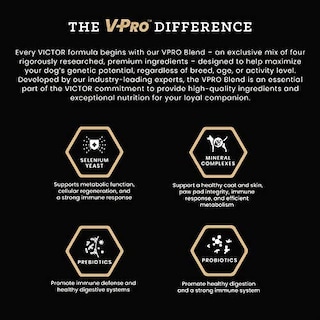 Foto 4 | Alimento Seco Para Perros Victor Super Premium Multi-pro 2,27 Kg Sin Gluten - Venta Internacional.