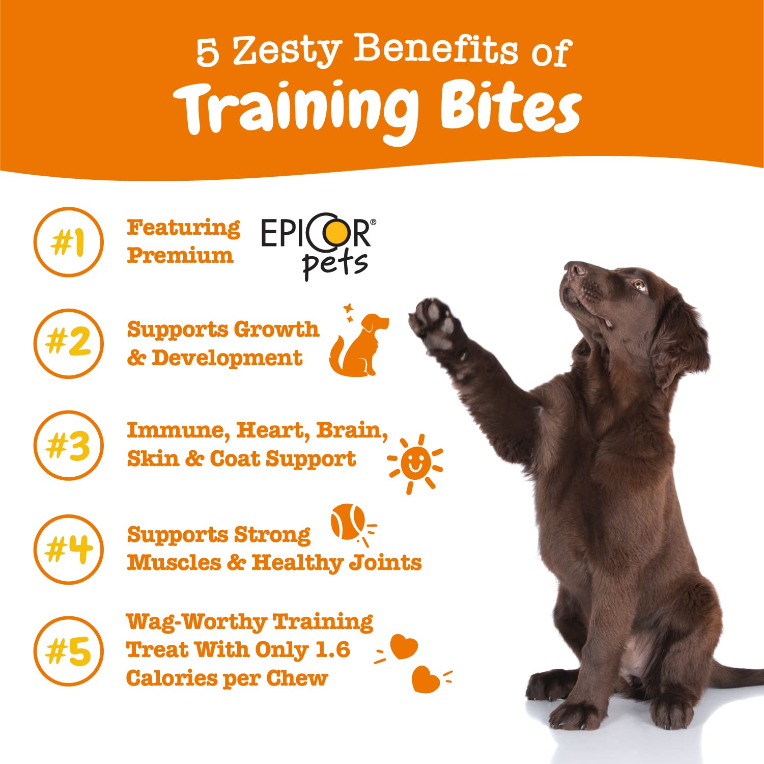 Foto 3 pulgar | Training Treats Zesty Paws Healthy Para Perros Con Músculos De La Articulación De La Cadera - Venta Internacional.