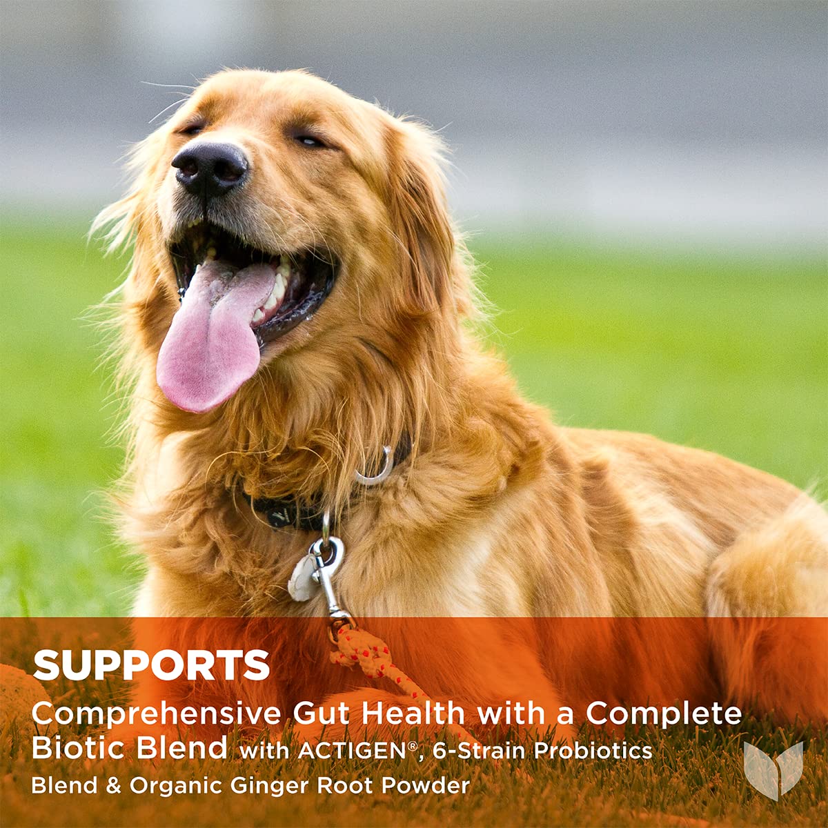 Foto 4 pulgar | Probióticos Para Perros Hyland's Naturals Total Gut Health 90 Chews - Venta Internacional.