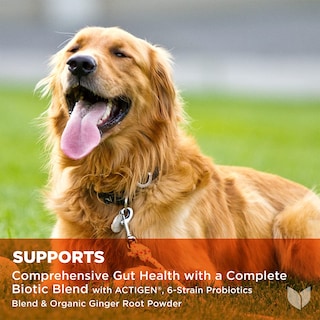 Foto 3 | Probióticos Para Perros Hyland's Naturals Total Gut Health 90 Chews - Venta Internacional.