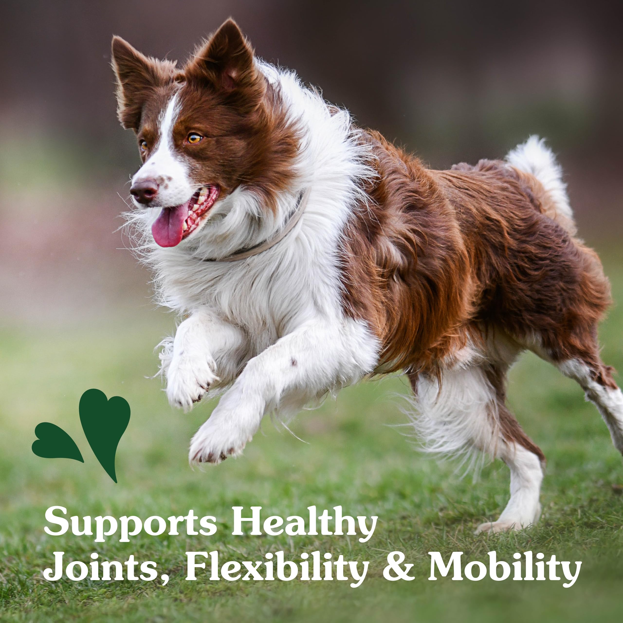Foto 7 pulgar | Supplements Greenies Hip And Joint For Dogs 80 Soft Chews - Venta Internacional.
