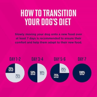 Foto 7 | Pienso Para Perros Eukanuba Para Adultos De Raza Pequeña, 2 Kg - Venta Internacional.