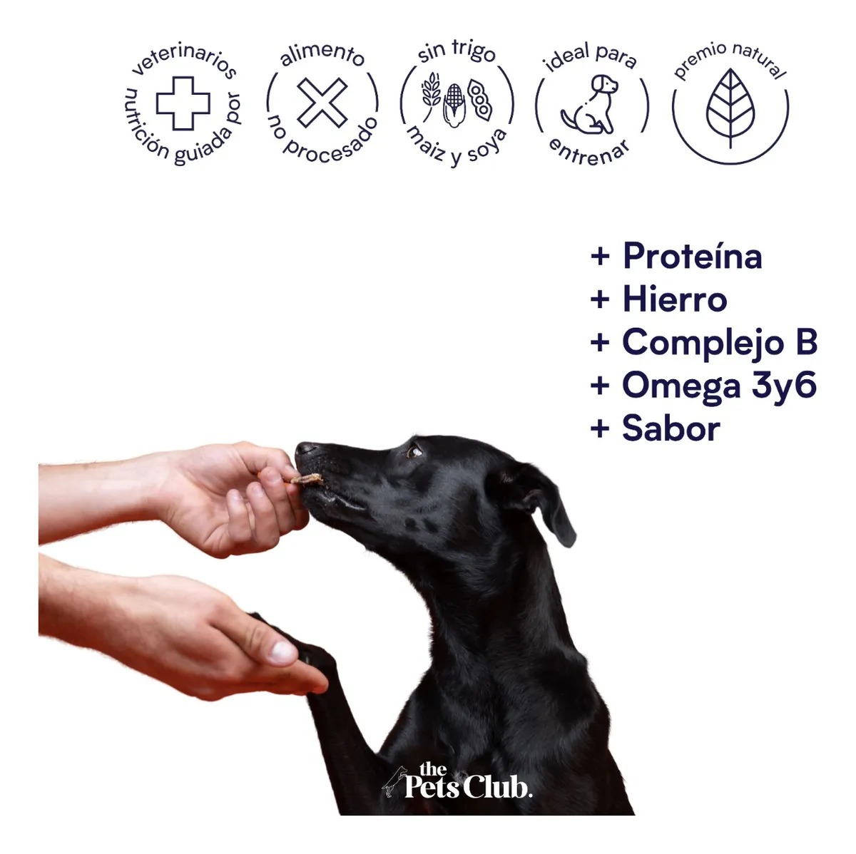 Foto 4 pulgar | Thepetsclub Premio 100% Natural Para Perro Corazón Res 90gr Deshidratado Pack 12pz