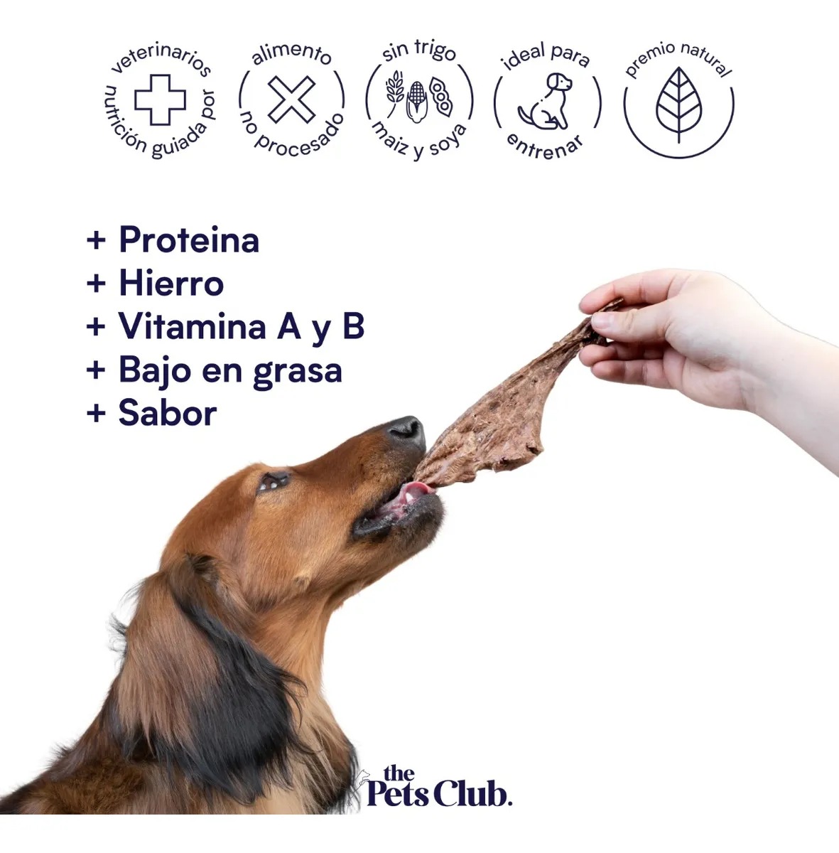 Foto 3 | Thepetsclub Premio 100% Natural Pulmón De Cerdo 80gr Deshidratado Pack 12pz