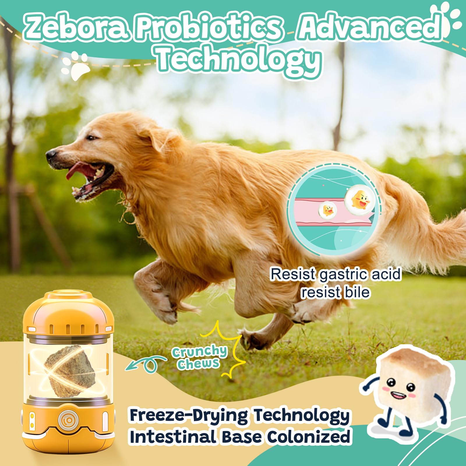 Foto 3 pulgar | Probióticos Para Perros Zebora Digestive Health 120 Chews 6b Cfu - Venta Internacional.
