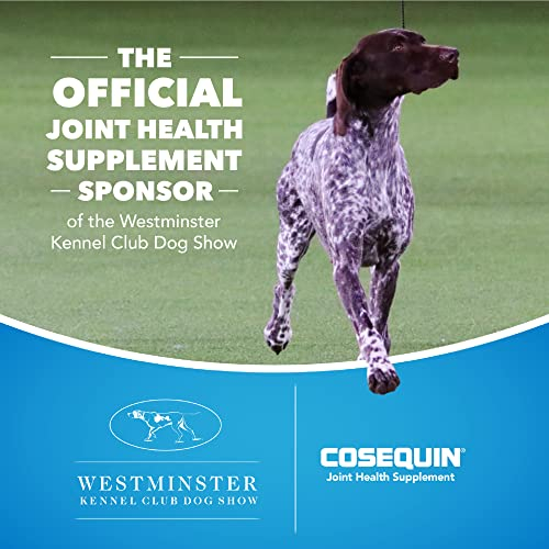 Foto 3 | Suplemento Nutramax Cosequin Joint Health Para Perros, 60 Masticables - Venta Internacional.
