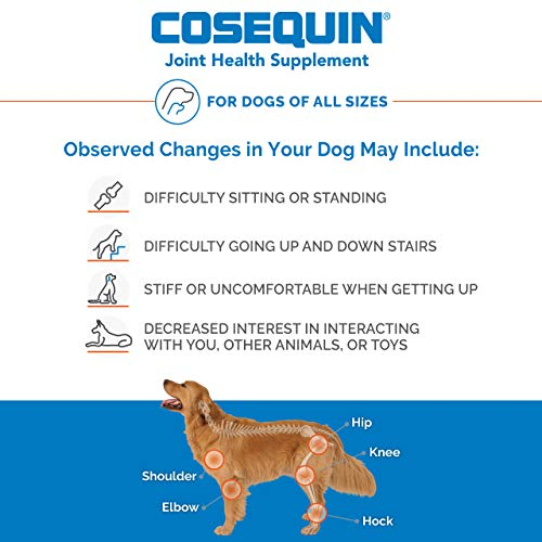 Foto 4 | Suplemento Nutramax Cosequin Joint Health Para Perros, 60 Masticables - Venta Internacional.