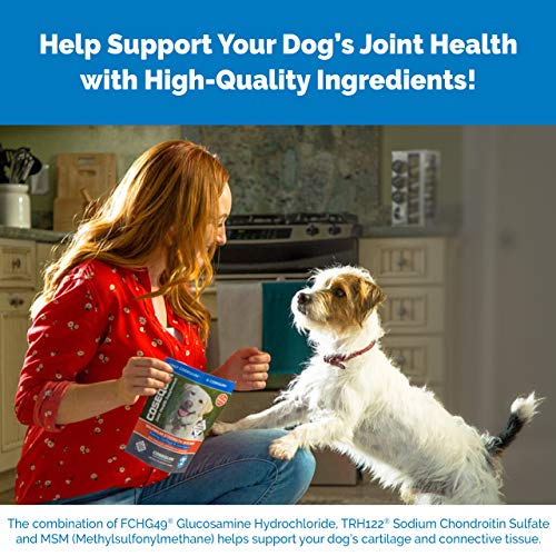 Foto 6 pulgar | Suplemento Nutramax Cosequin Joint Health Para Perros, 60 Masticables - Venta Internacional.