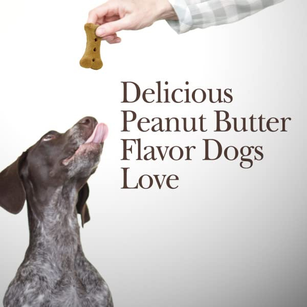 Foto 4 pulgar | Galletas Para Perros Nutri-vet Hip & Joint Con 500 Mg De Glucosamina, 4 Libras - Venta Internacional.